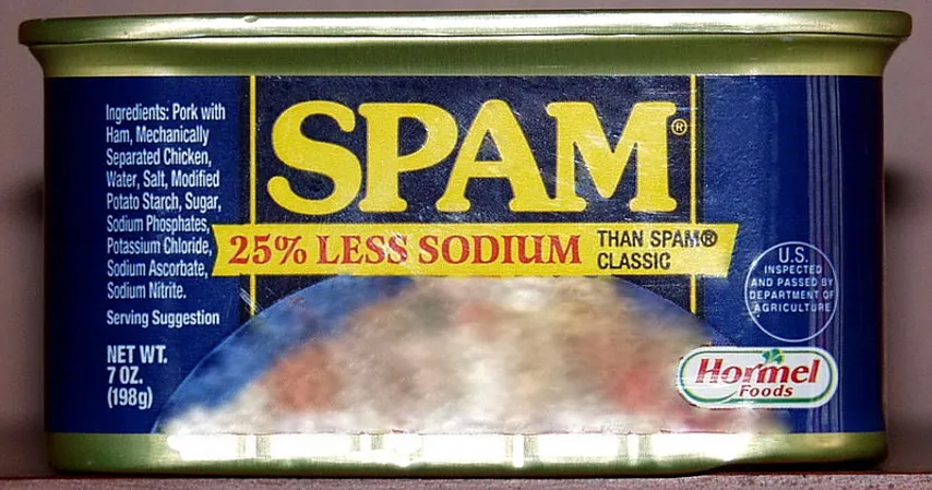 A can of actual spam represents the "job spam" that this article discusses