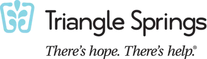 Triangle Springs banner