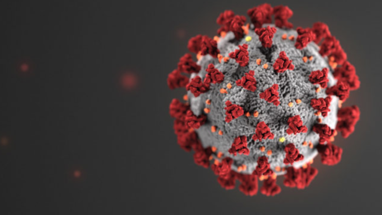A magnified view of the covid-19 virus