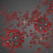 3D rendering, coronavirus cells